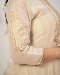 Tissue silk panelled salwar suit with embroidery- beige