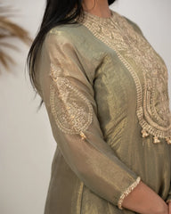 Tissue silk panelled salwar suit with embroidery- olive grey