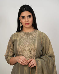 Tissue silk panelled salwar suit with embroidery- olive grey