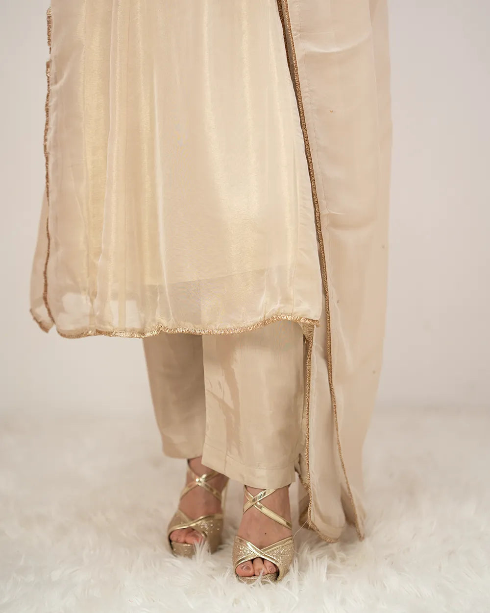 Tissue silk panelled salwar suit with embroidery- beige