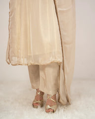 Tissue silk panelled salwar suit with embroidery- beige
