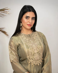 Tissue silk panelled salwar suit with embroidery- olive grey