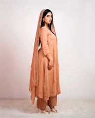 Handworked A-line organza suit- peach shade
